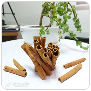 دارچین سیگاری