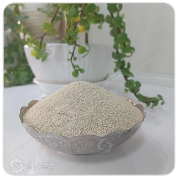 مایه خمیر