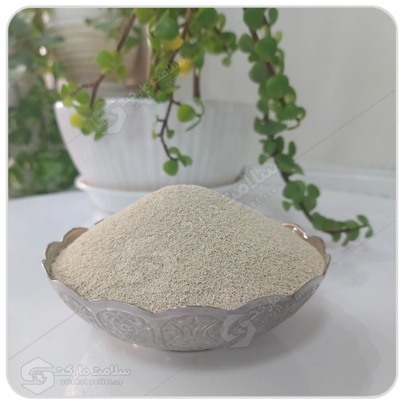 مایه خمیر